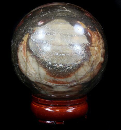 Colorful Petrified Wood Sphere #36970